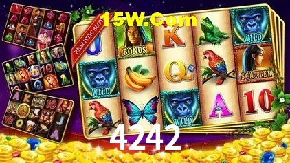 Exclusive Offers 4242